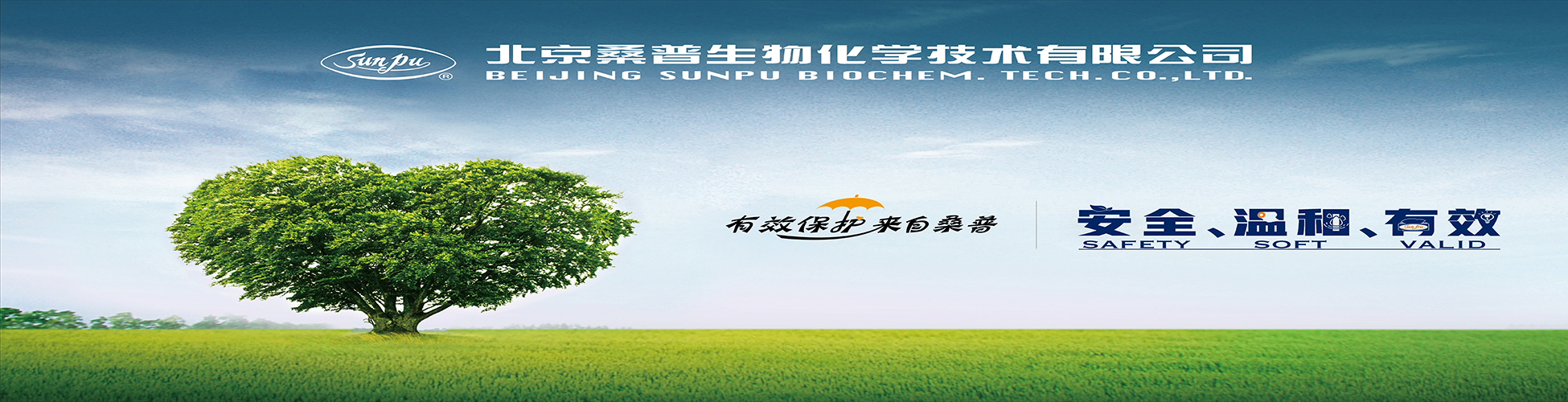 图片不见了